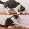 Interactive Catnip Playing Ball