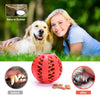 Dog Slow Feeder Rubber Ball